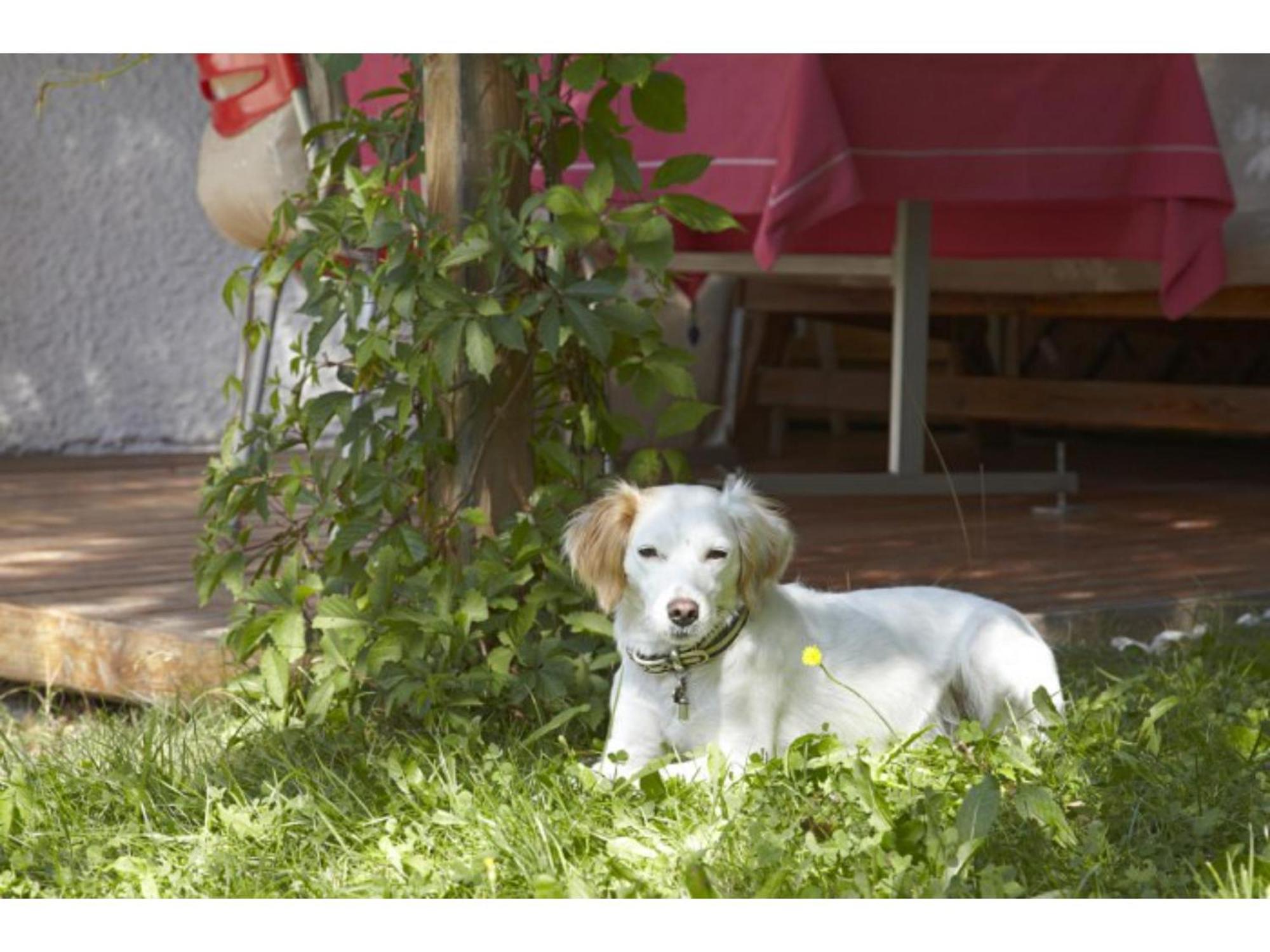 Haus Deidl Apartment บาดฮินเดลัง ภายนอก รูปภาพ